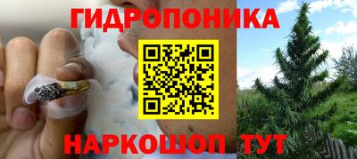 хмурый Ирбит