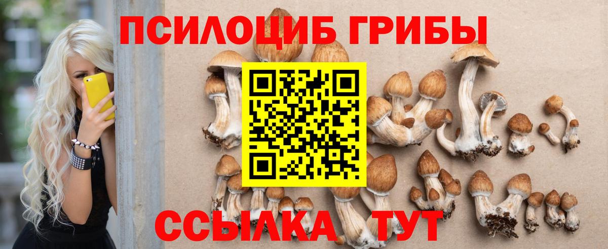 Псилоцибиновые грибы мицелий Стрежевой