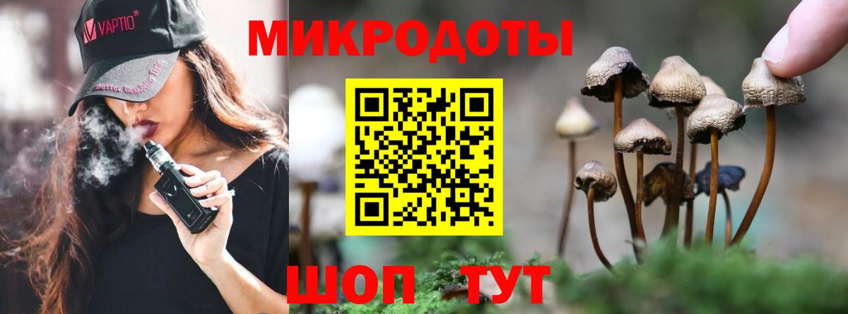 Псилоцибиновые грибы прущие грибы  Вход с VPN  где купить наркоту  Стрежевой 